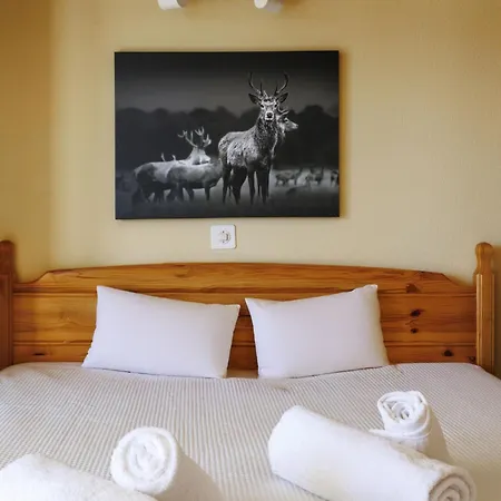 Aiglon G0 By Interhome